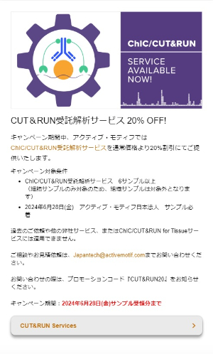 【アクティブ・モティフ】CUT＆RUN受託解析サービス20％OFF！