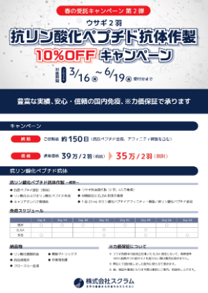 【スクラム】抗リン酸化ペプチド抗体作製キャンペーン