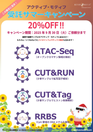 【アクティブ・モティフ】受託サマーキャンペーン