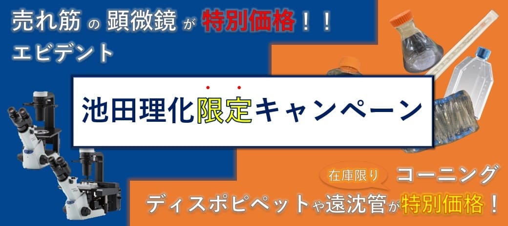キャンペーン情報