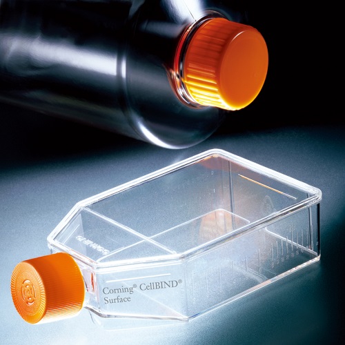 Corning ® CellBIND ® 表面製品 | オンラインカタログ | 株式会社池田理化