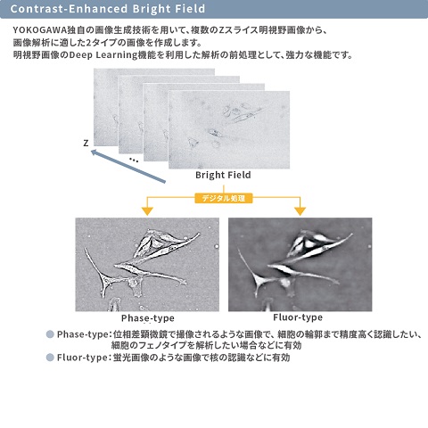 ハイコンテント解析ソフトウェア