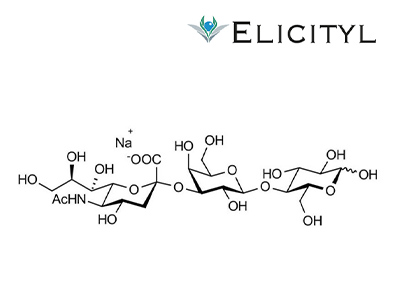 研究用糖質・糖鎖（ELICITYL社）