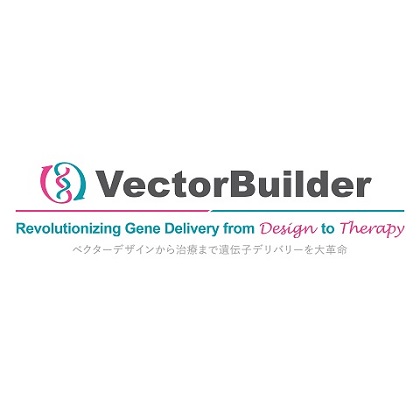 ベクタービルダー：連続ウェビナー開催中